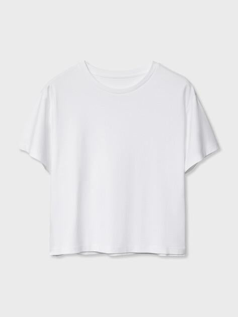 MAISON DAVID T-shirt (cotton)